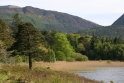 Mansion grounds Ireland